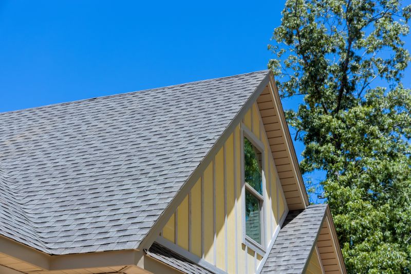 Shingle Replacement