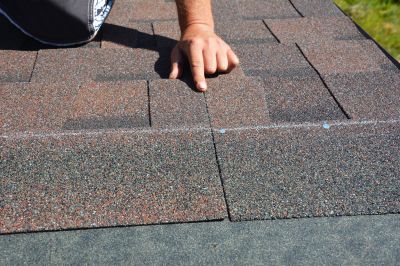 Professional Roof Inspection