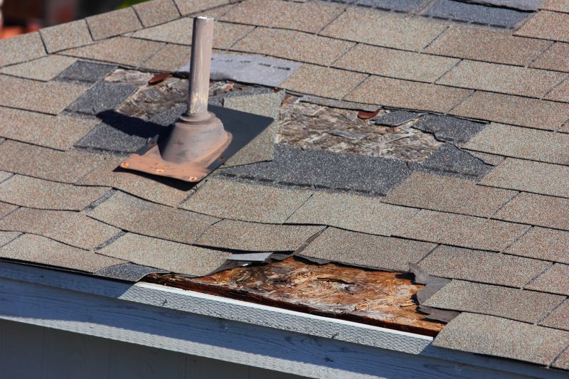 Causes Of Asphalt Shingle Damage And When Repair Is Enough